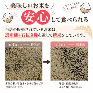 ＼生活応援価格!!/ 魚沼産コシヒカリ1等米 ...の詳細画像1
