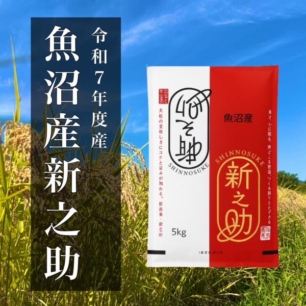 魚沼産 新之助 ５kg 令和７年度産