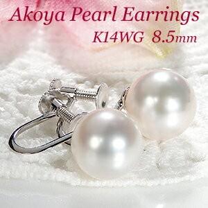 K14WG 一粒 アコヤ パール イヤリング 8.5mm 8.5ミリ 大粒 真珠 あこや  