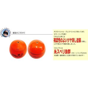 南ウキ 競技スペシャル / 南康史監修 チヌ ...の詳細画像2