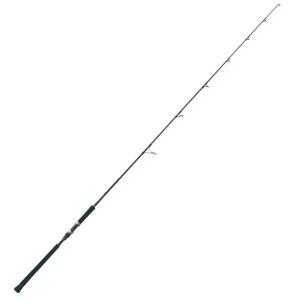 DAIWA（ダイワ） 19 ヴァデル VADEL C73MLS・Y テクニカル
