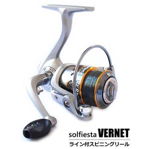 シマノ（SHIMANO） 20ステラSW6000PGリールスピニングリールSHIMANO