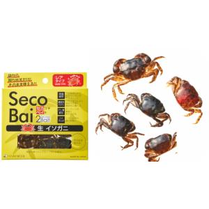 浜市 セカンドベイト 生イソガニの買取情報