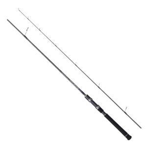 DAIWA（ダイワ） ブレイゾン S67ML-2 2ピース スピニングモデル / バス