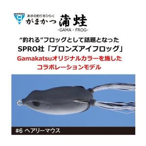 がまかつ ラグゼ ガマガエル #6の買取情報