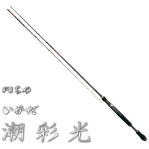 DAIWA（ダイワ） 投げ竿 20 サンダウナー コンペティション プロトギア