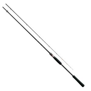 DAIWA（ダイワ） ロッド ランドサーフT 33号-405・J [5] : 釣具の