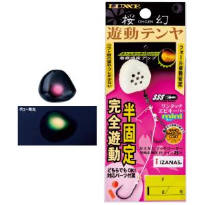 DAIWA（ダイワ） 【取り寄せ商品】ダイワ SLP WORKS 20 ソルティガ