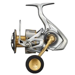 DAIWA（ダイワ） 18フリームス LT5000D−C ／スピニング