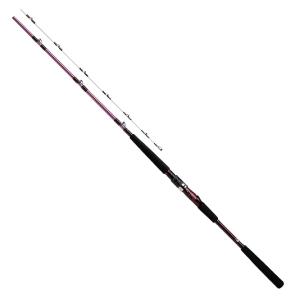 DAIWA（ダイワ） 船竿 ディープゾーン 73 150-205 / daiwa / 釣具