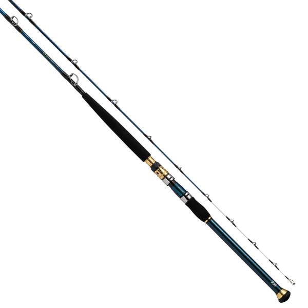 船竿 ダイワ 21 ゴウイン 落とし込み H-245・R / daiwa / 釣具