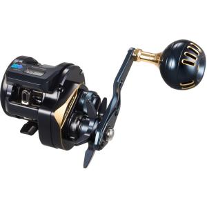 DAIWA（ダイワ） 25ソルティガ IC 300HL-SJ-C : つり具の銭屋 - 通販