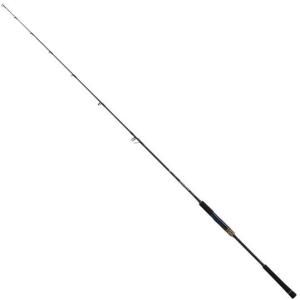 SALTIGA J LOWRESPONSE 63S−3 ダイワ : グッド