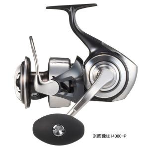 DAIWA（ダイワ） スピニングリール 18 パワーサーフ SS 5000QD / daiwa