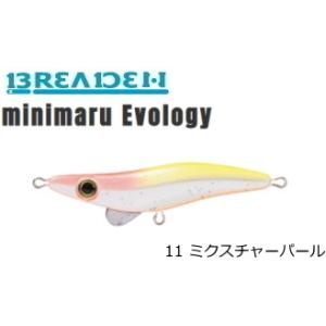 ブリーデン ミニマル エボロジー ミクスチャーパール 2.6g