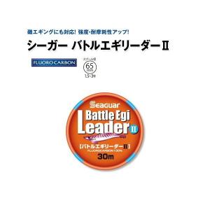 オリムピック（OLYMPIC） グラファイトリーダー ヌーボ カラマレッティ