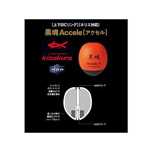 Abu Garcia（アブガルシア） ソルティースタイルロックフィッシュ STRS