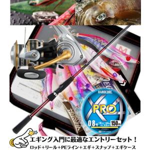 エギング入門 10点セット (ダイワ クレスト 2506＋ライトエギング