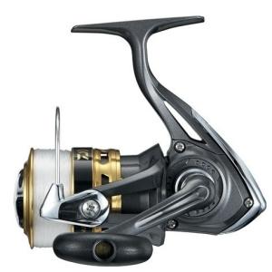 DAIWA（ダイワ） (数量限定)スポーツライン SK V-MAX 4500(6号-200m付