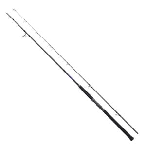 DAIWA（ダイワ） 磯竿 波濤 1.25-53・N / daiwa / 釣具 : 釣人館ますだ