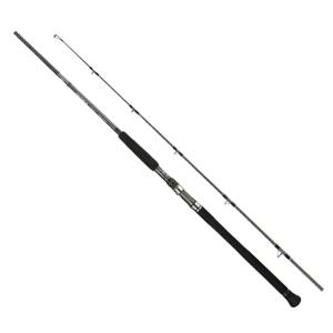 DAIWA（ダイワ） ソルティガ エビング 74HS : つり具の銭屋 - 通販