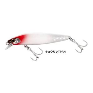シマノ（SHIMANO） シーバス ルアー エクスセンス サイレントアサシン