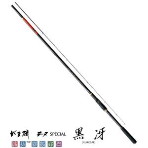 Gamakatsu（がまかつ） ラグゼ ソルテージ チータ RR 100XXH