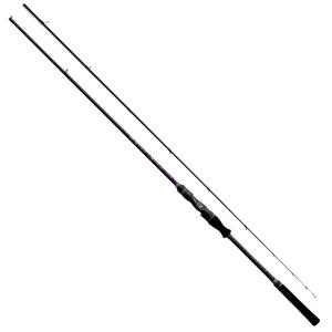 DAIWA（ダイワ） (数量限定)ダイワ 14リョウガ ベイジギング C1012PE