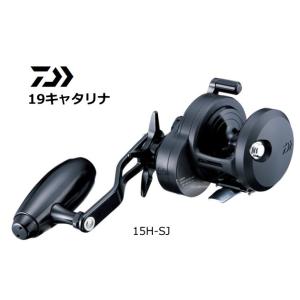 DAIWA（ダイワ） 19 CATALINA(キャタリナ) 15H(右) : ヨコオネット