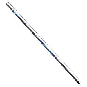 ダイワ 銀影競技 タイプ S TYPE S XH85・W / 鮎竿 daiwa 釣具