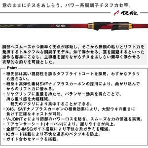 ダイワ 銀狼 パワートルク 0.6号-5.3m...の詳細画像1