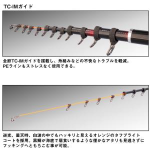 ダイワ 銀狼 パワートルク 1号-5.3m ・...の詳細画像2