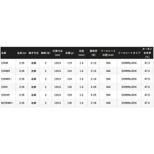 シマノ 25 炎月 エンゲツ BB 一つテンヤ...の詳細画像2