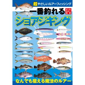 超やさしいルアーフィッシング 一番釣れるショアジギング｜tsurifan