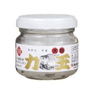 アニサキス／ANISAKIS アニサキスッテ 20号 （ANISAKISUTTE