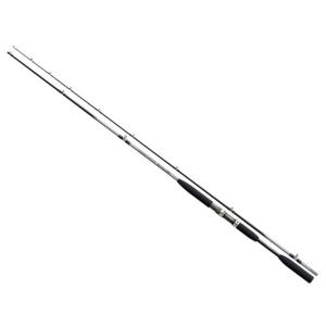 2回使用ホリデーマリンSHIMANO シマノ 64 30-270船竿 おすすめ
