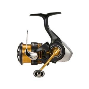 DAIWA（ダイワ） レガリス LT2500S-DH （23年モデル 浅溝 ノーマル