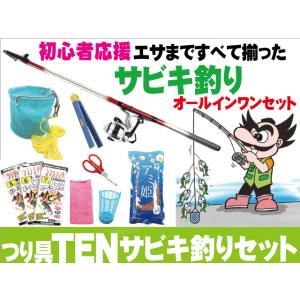 サビキ釣り入門オールインワンセット サビキ竿 リール