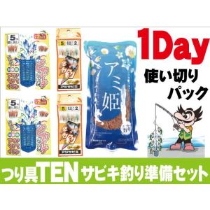 サビキ釣り１Day準備セット（サビキ仕掛セット／アミ姫／替え仕掛け／１日使い切りパック１人分／初心者オススメ）