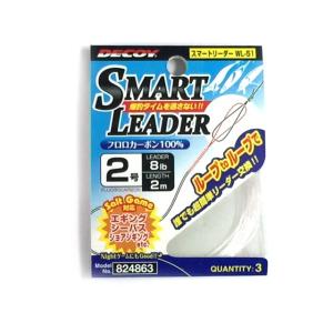 デコイ／DECOY　WL-51　スマートリーダー　（フロロカーボン１００％　長さ：２ｍ）