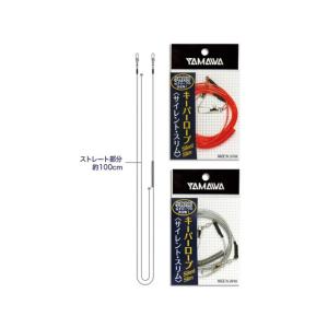 SLPワークス SLPW ダイワ リールパーツ RCS ISO 22口太スプール