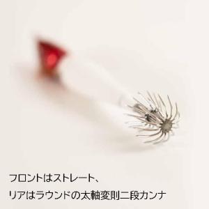 アニサキス/ANISAKIS アニサキスッテ ...の詳細画像4