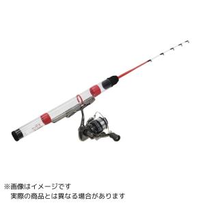 DAIWA（ダイワ） 21 STEEZ(スティーズ) C64L-SV・ST 【大型商品3