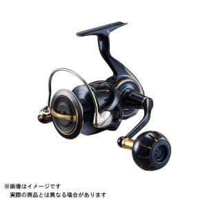 DAIWA（釣り） ダイワ 23 ソルティガ 6000-H (2023年モデル