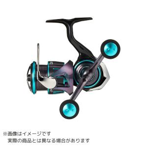 DAIWA（釣り） 【目玉商品】 ダイワ 17 エメラルダス MX 2508PE