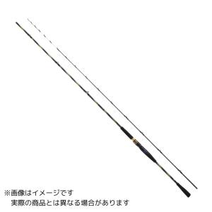 DAIWA（ダイワ） 20 ライトヒラメ X M-240・R【大型商品160】 : ヨコオ