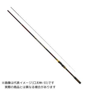 DAIWA（ダイワ） ワイズストリーム 62L−3 ／ネイティブトラウト