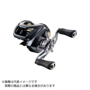 DAIWA（ダイワ） 24スティーズ SV TW 100HL : つり具の銭屋 - 通販
