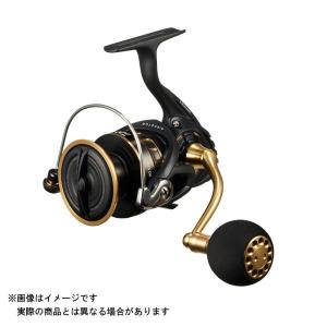シマノ（SHIMANO） シマノ/SHIMANO 17セドナ C3000 汎用スピニング