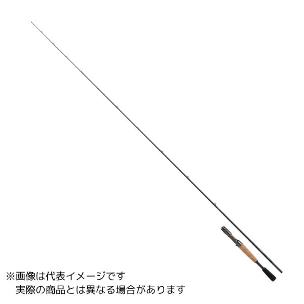 ダイワ スティーズ C65M/ML-SV・ST【大型商品200】